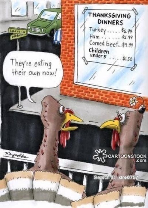 TurkeyTalk.thumb.jpg.79894f5641896c740879eae82edc0d18.jpg
