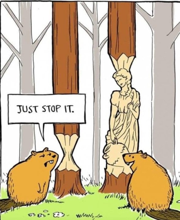 Beaver.thumb.jpg.c3512c8ed4791a196a128ef4fabe2270.jpg