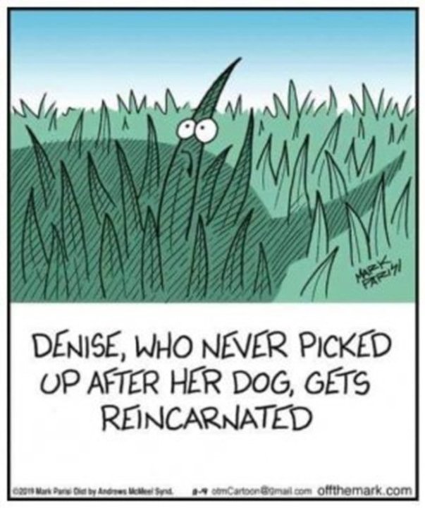 Reincarnation.thumb.jpg.c8a3cf5f352d32a70842f41589b81e00.jpg