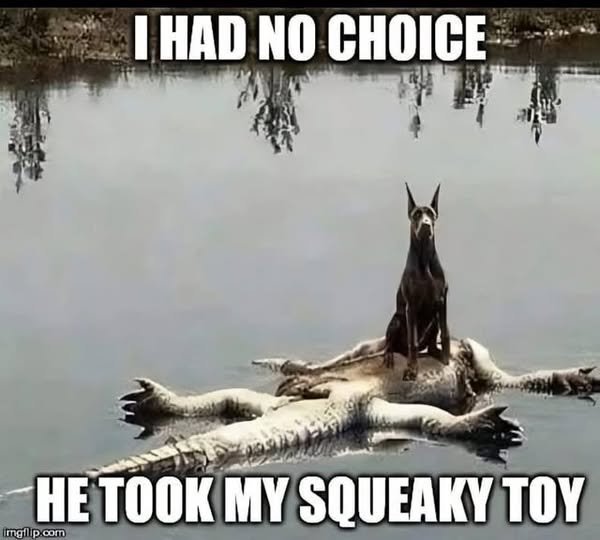 deadgator.jpg.d5f21402ad4ab2515edada4b52cde108.jpg