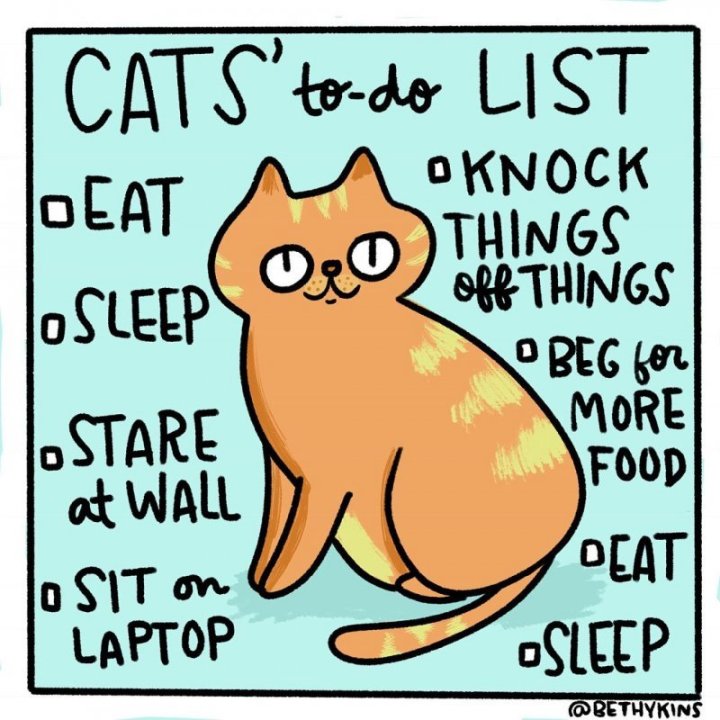CatToDoList.thumb.jpg.ce6687437cd5cfcc53be0d9986c42047.jpg
