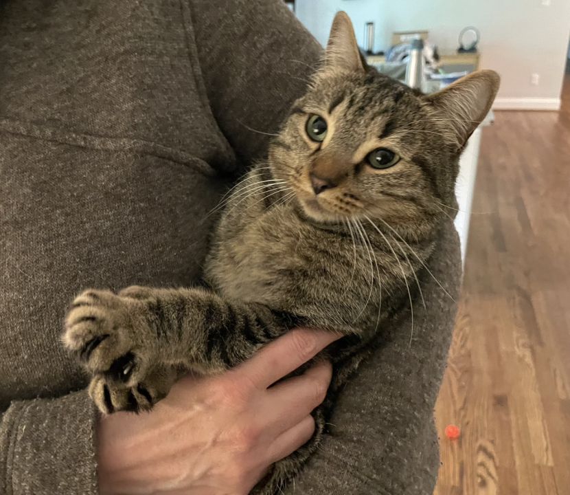 IMG_4012 Large Large.png