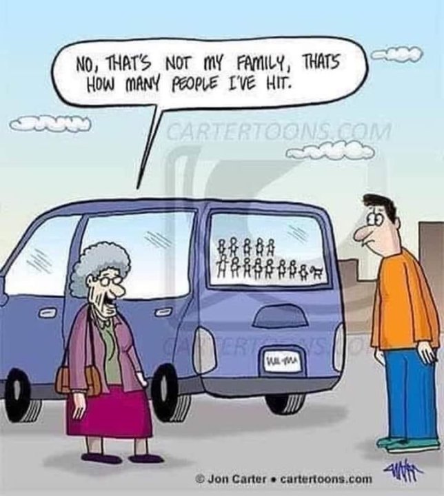 OldLadyDriver.thumb.jpg.c091baa984ca40f3253a41773d58ceb4.jpg