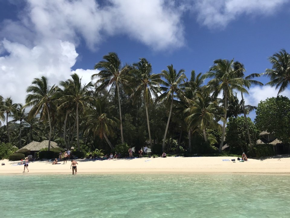 BeautifulPalm-linedBeachinRarotongaCookIslands.thumb.jpg.b71ba3c77ce04bb8ae6f527acfcfbf58.jpg