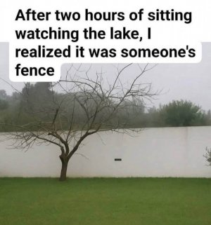 image.png.ce3b57c406fc8d9f28a6d60301f77638.png