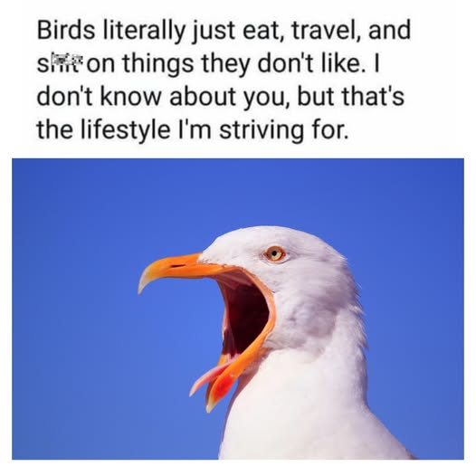 image.png.476e78ade3fd1f2fb26e5ec93240bb66.png
