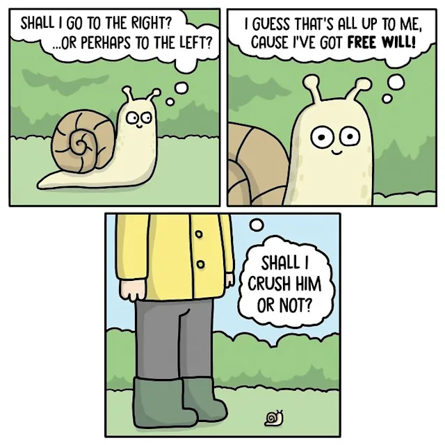 snail.png.628cc03469a98cbbbc96b2fe7e88c122.png