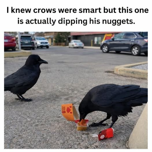 image.png.cbf8cf68d6b3e339e85f9f46d648345d.png