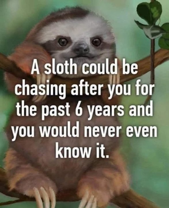 Sloth1.thumb.jpg.e330bcf2151cbb0c008022ef39f49bfa.jpg