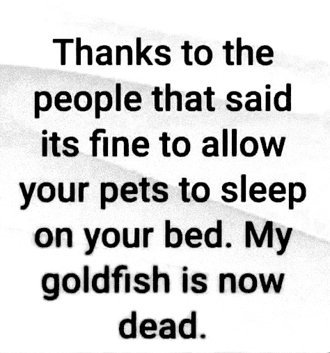 image.png.8062d2517290cd09187ef2d33a0d3de2.png